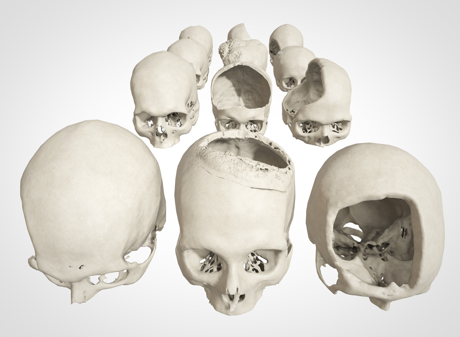 A collage of all the skulls in the application